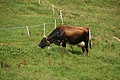 DSC05690 - Bernhard Saalfeld