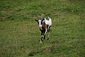 DSC05692 - Bernhard Saalfeld