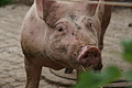 DSC05728 - Bernhard Saalfeld