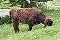 DSC05735 - Bernhard Saalfeld