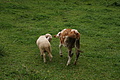 DSC05738 - Bernhard Saalfeld