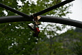 DSC05744 - Bernhard Saalfeld