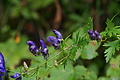 DSC05754 - Bernhard Saalfeld