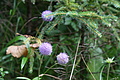DSC05755 - Bernhard Saalfeld