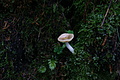 DSC05758 - Bernhard Saalfeld