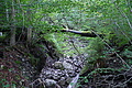 DSC05759 - Bernhard Saalfeld