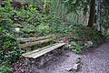 DSC05760 - Bernhard Saalfeld