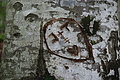 DSC05762 - Bernhard Saalfeld