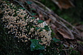 DSC05768 - Bernhard Saalfeld