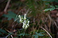 DSC05769 - Bernhard Saalfeld