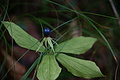 DSC05770 - Bernhard Saalfeld