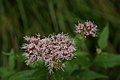 DSC05775 - Bernhard Saalfeld