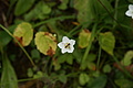 DSC05778 - Bernhard Saalfeld
