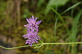 DSC05779 - Bernhard Saalfeld