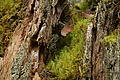 DSC05781 - Bernhard Saalfeld