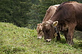 DSC05793 - Bernhard Saalfeld