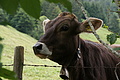 DSC05794 - Bernhard Saalfeld