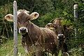 DSC05797 - Bernhard Saalfeld