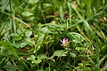 DSC05807 - Bernhard Saalfeld