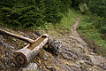 DSC05811 - Bernhard Saalfeld