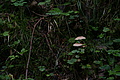 DSC05823 - Bernhard Saalfeld