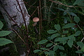 DSC05837 - Bernhard Saalfeld