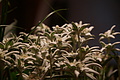 DSC05865 - Bernhard Saalfeld