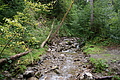 DSC05875 - Bernhard Saalfeld