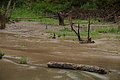 DSC05881 - Bernhard Saalfeld