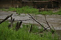 DSC05882 - Bernhard Saalfeld