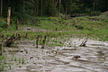 DSC05884 - Bernhard Saalfeld
