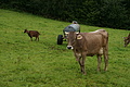 DSC05886 - Bernhard Saalfeld