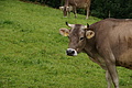 DSC05887 - Bernhard Saalfeld