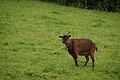 DSC05888 - Bernhard Saalfeld