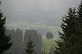 DSC05895 - Bernhard Saalfeld