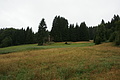 DSC05896 - Bernhard Saalfeld