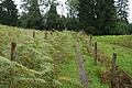 DSC05900 - Bernhard Saalfeld