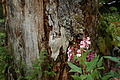 DSC05903 - Bernhard Saalfeld