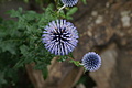 DSC05906 - Bernhard Saalfeld