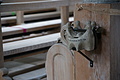 DSC05909 - Bernhard Saalfeld