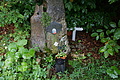 DSC05957 - Bernhard Saalfeld