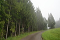 DSC05962 - Bernhard Saalfeld