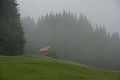 DSC05963 - Bernhard Saalfeld