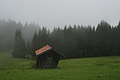 DSC05967 - Bernhard Saalfeld