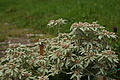 DSC05973 - Bernhard Saalfeld