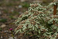 DSC05974 - Bernhard Saalfeld