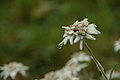 DSC05977 - Bernhard Saalfeld