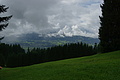 DSC05981 - Bernhard Saalfeld