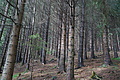 DSC05991 - Bernhard Saalfeld