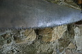 DSC06001 - Bernhard Saalfeld